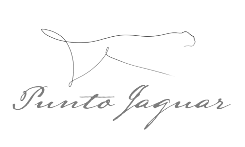 Logotipo Punto Jaguar Terra Mar Desarrollos