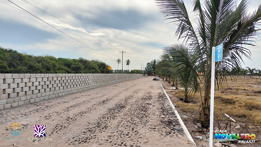 Foto 4 - Avance obra - Puerta Coral- Enero 2025 - Terramar Desarrollos